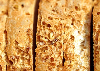 Leipäkuoriainen työssään